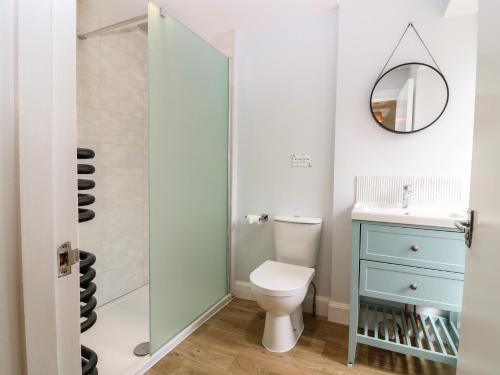 a bathroom with a toilet and a shower at 21A High Street in Jedburgh