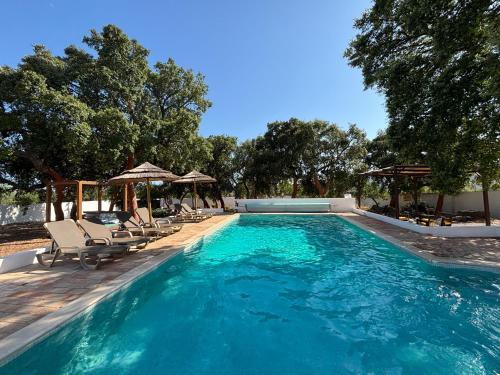 une grande piscine avec chaises et parasols dans l'établissement Casa Portus - Turismo Rural, à Faro