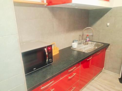 a kitchen counter with a microwave and a sink at Bel appartement T3 avec parking in Avignon