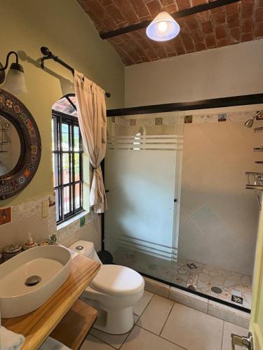 a bathroom with a shower and a toilet and a sink at Casa Axixic in Ajijic