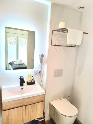 a bathroom with a sink and a toilet and a mirror at Domaine de la Mautanne in Sainte-Tulle