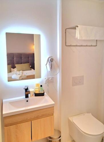 a bathroom with a sink and a toilet and a mirror at Domaine de la Mautanne in Sainte-Tulle