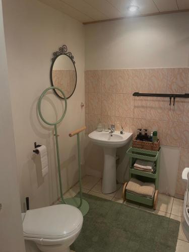 a bathroom with a toilet and a sink and a mirror at Ventlejas in Strakši