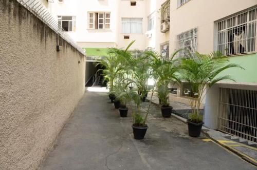 a row of palm trees inront of a building at 360 Santa Tereza by SUHCasa in Rio de Janeiro