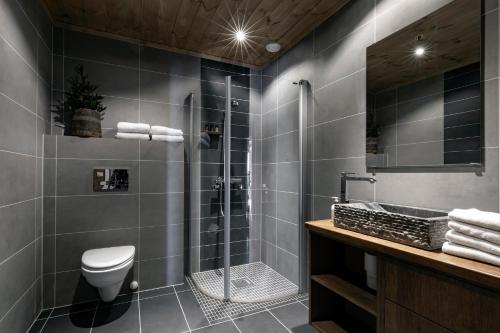 a bathroom with a shower and a toilet and a sink at Skigaarden in Hemsedal