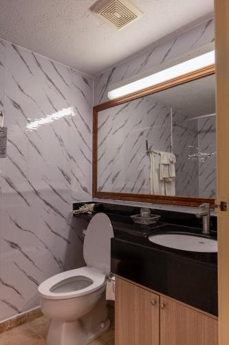 a bathroom with a sink and a toilet and a mirror at Hotel Cowansville in Cowansville