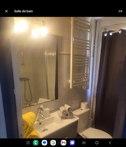 a bathroom with a sink and a toilet and a mirror at Loue jolie duplex climatisé centre port in Cap d'Agde