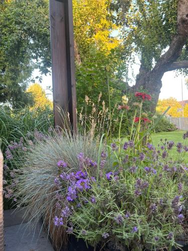 a garden with purple flowers and grass at Apartamenty Dom Ogrodnika in Białogóra