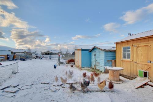 a group of chickens in the snow next to a building at Farr West Apartment on Farm Less Than 25 Mi to Ski Resorts in Farr West