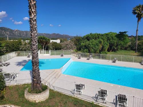 a swimming pool with a palm tree next to it at Résidence la Citadelle in Saint-Florent