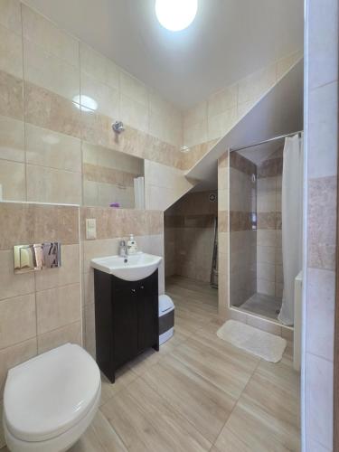 a bathroom with a toilet and a sink and a shower at Siodemkacamp Karwia in Karwia