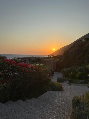 a sunset over the ocean with flowers on a hill at HRS luxury apartments 102 in Durrës