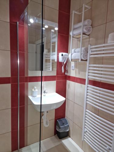 a bathroom with a sink and a glass shower at Apartmani i sobe PARK in Apatin