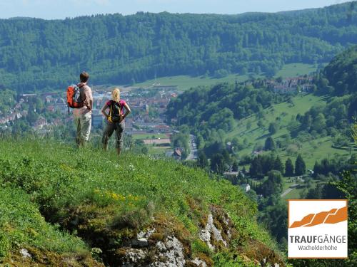 a man and woman standing on a hill looking at a valley at Hotel Garni in der Breite in Albstadt