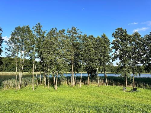 a row of trees in a field next to a lake at Oaza Żuraw in Miłki