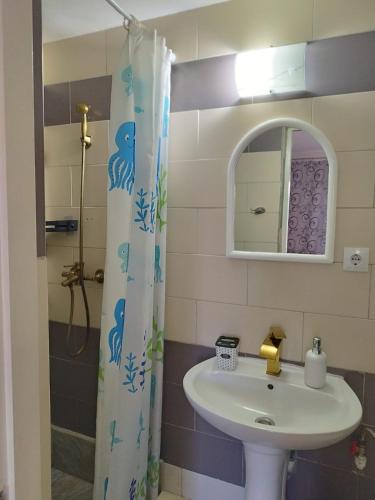 a bathroom with a sink and a shower at Casa Ancora Sulina in Sulina