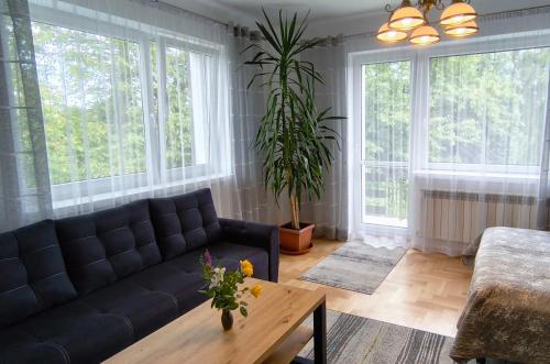 a living room with a couch and a table at Apartament Tarnów-Mościce PRZY MOŚCIE in Tarnów