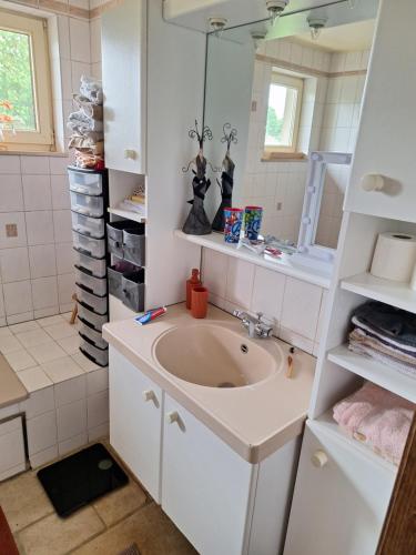 a bathroom with a sink and a mirror at Villa Gottem in Deinze