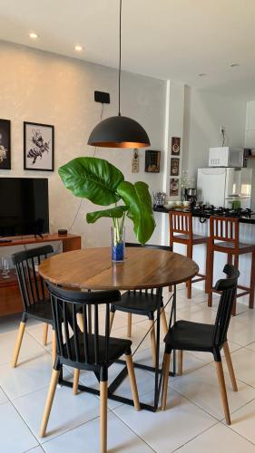 a dining room table with a potted plant on it at Blue House Casa de temporada no brejo in Solânea