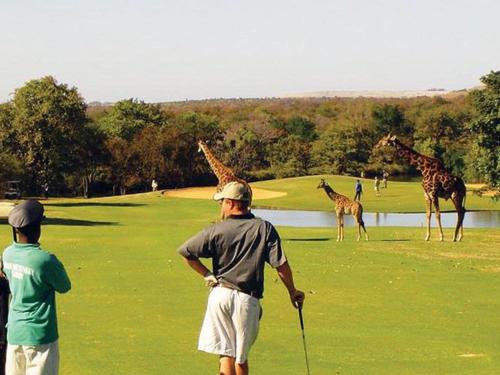 Golf v vily nebo okolí