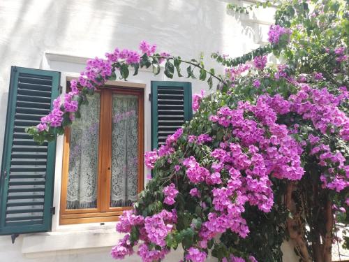 a window with purple flowers in front of it at La Bouganville in Macerata