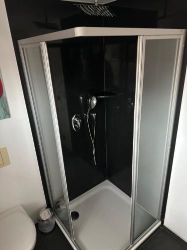 a shower with a glass door in a bathroom at Beautiful studio apartment in Nordhausen