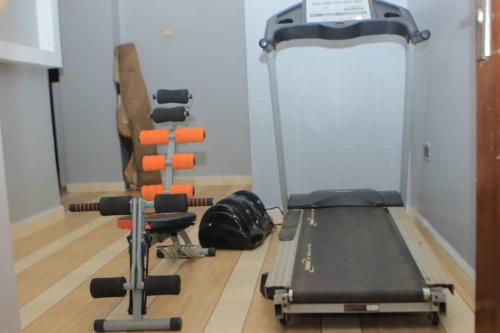 Fitness centrum a/nebo fitness zařízení v ubytování Gipir & Labango Ventures