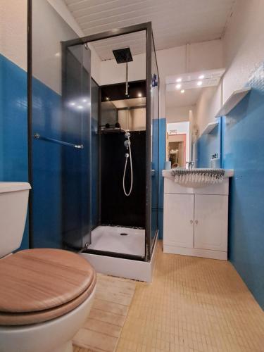 a bathroom with a shower with a toilet and a sink at Les dessus de la Marina in Les Trois-Îlets
