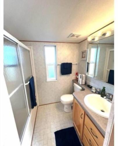 a bathroom with a toilet and a sink and a shower at Rogue River Landing Resort Cabins in Gold Beach