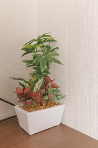 a plant in a white pot sitting on a table at LANG HOTEL Kameido - Vacation STAY 76836v in Tokyo
