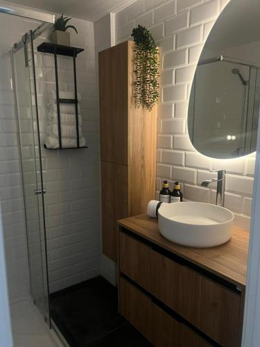 a bathroom with a white sink and a mirror at Villa potasa 19 in Madrid