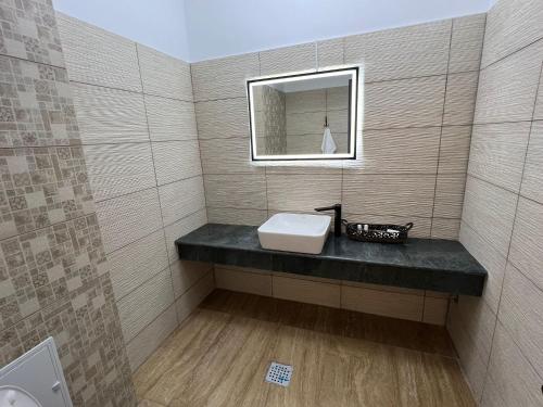 a bathroom with a sink and a mirror at Ego Apartments in Drobeta-Turnu Severin