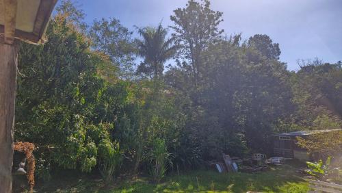 a view of a yard with trees and a house at Pe na Pedra quarto 3 in Atibaia