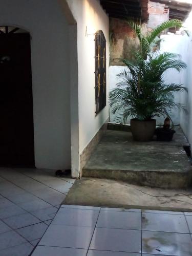 a house with a potted plant in a hallway at Aluga-se para a cop30 in Ananindeua