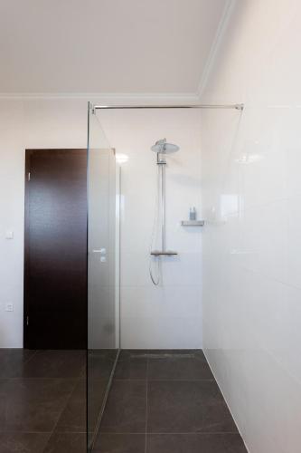 a shower with a glass door in a bathroom at Penthouse Olivia Međugorje - Private Jacuzzi in Međugorje