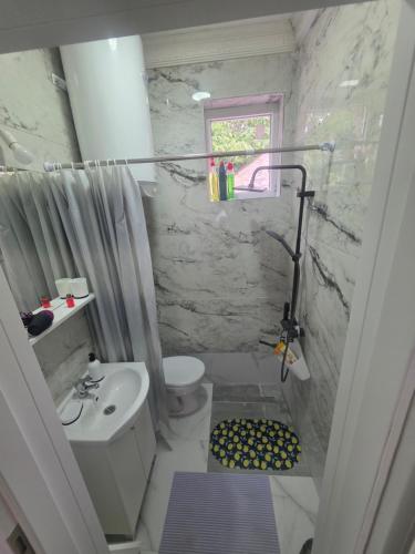 a bathroom with a sink and a toilet and a window at App 3 Ville Adan in Donji Zemunik
