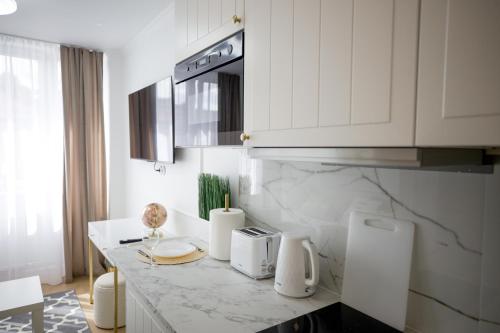 Kuchyň nebo kuchyňský kout v ubytování Luxury apartments Katowice