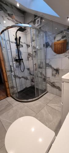 a bathroom with a shower and a toilet in a room at Aks Annex in Ingleton 