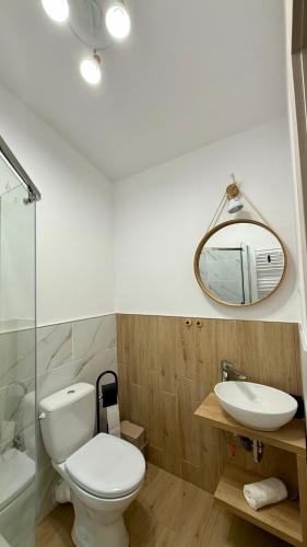 a bathroom with a toilet and a sink and a mirror at Villa Ambition in Zălan