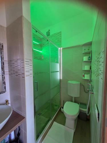 a bathroom with a shower and a toilet and a sink at Bellavista Bilocale in Foligno