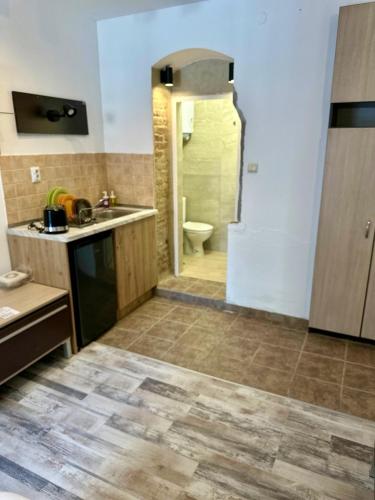 a kitchen with a sink and a shower with a toilet at Sveji garden in Varna City