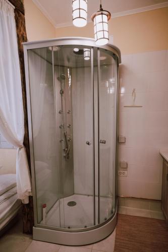 a shower with a glass door in a bathroom at Rustik Home Central in Arad