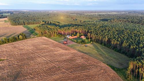 Nocleg na skraju puszczy