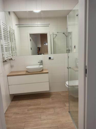 a bathroom with a sink and a toilet and a mirror at Apartament Kameralny in Brodnica