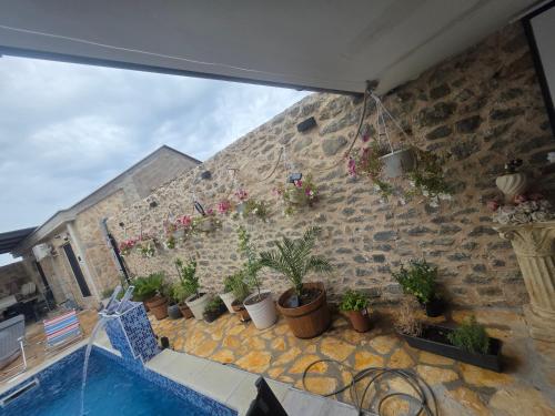 a brick wall with potted plants and a swimming pool at App 2 Ville Adan in Donji Zemunik