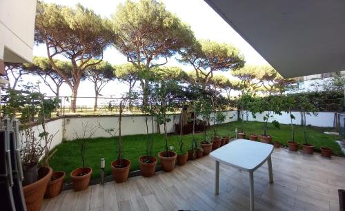 Bilocale EUR Grotta Perfetta 50mq casa 32mq sala hobbies e 250mq giardino