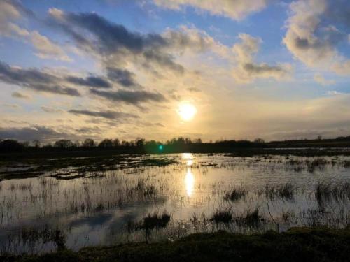a sunset over a field with the sun in the sky at Chalet in Hengelo near Twickel Castle in Haaksbergen