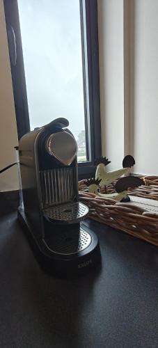 a hair brush sitting on a table in front of a window at Het Mezennest in Zonhoven