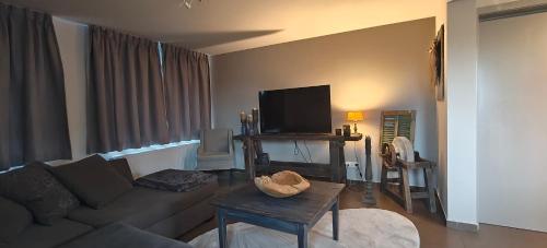 a living room with a couch and a flat screen tv at Het Mezennest in Zonhoven