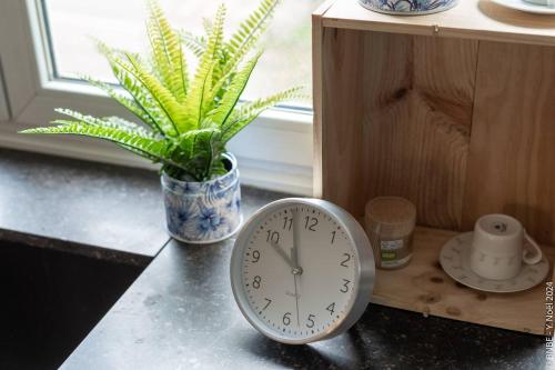 a clock sitting on a counter next to a potted plant at Jette - Base en peripherie de Ville - 15min Centre in Brussels